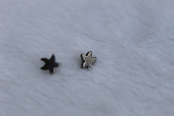 STAR Stainless Steel Earrings